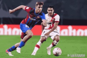 爱游戏体育-关于莎拉波娃重返赛场，夺冠首场状态出色，拜仁观众沸腾！的信息